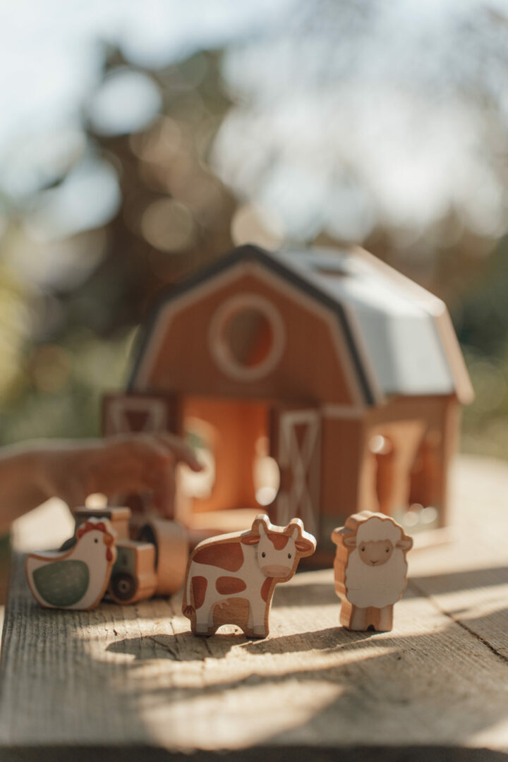 Sortierer Bauernhof | 7147 – Bild 6