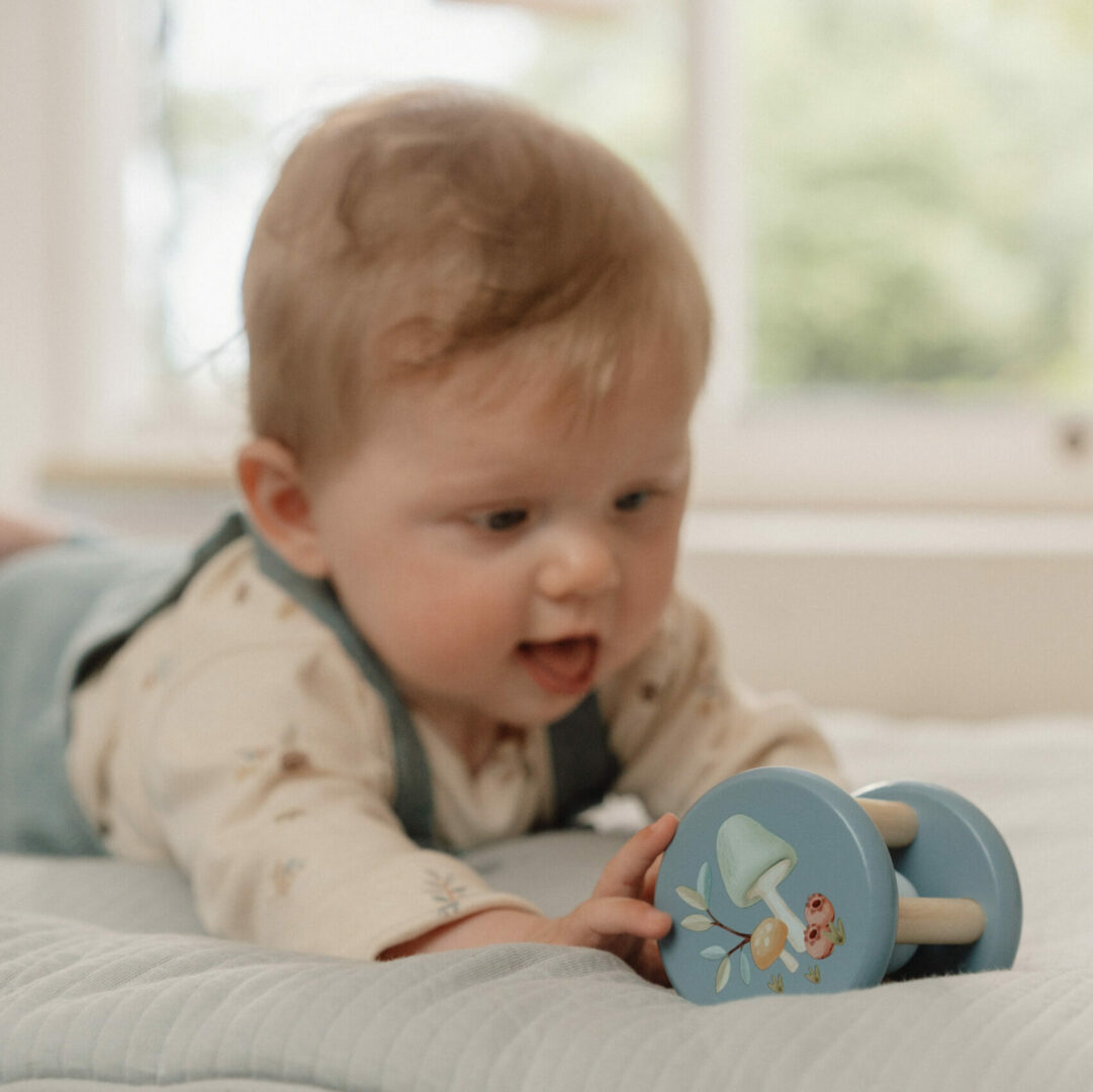 Rassel Forest Friends | 7251